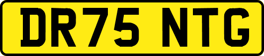 DR75NTG