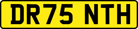 DR75NTH