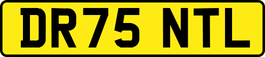DR75NTL