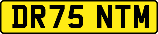 DR75NTM