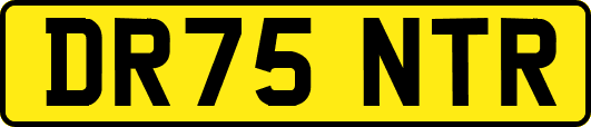 DR75NTR