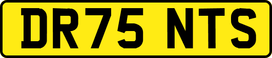 DR75NTS
