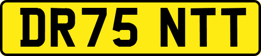 DR75NTT
