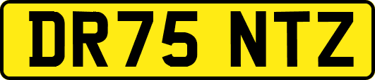 DR75NTZ