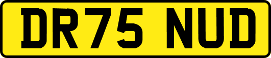 DR75NUD