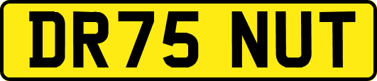 DR75NUT