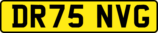 DR75NVG