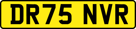 DR75NVR