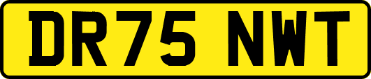 DR75NWT
