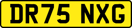 DR75NXG
