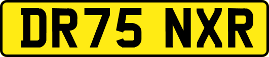 DR75NXR