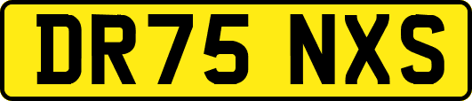 DR75NXS