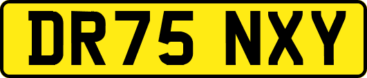 DR75NXY