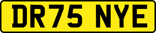 DR75NYE