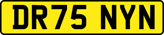 DR75NYN