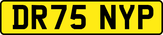 DR75NYP