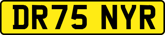 DR75NYR