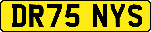 DR75NYS