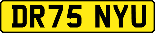 DR75NYU