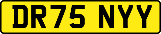 DR75NYY