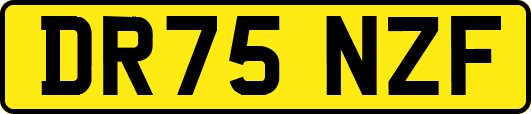DR75NZF