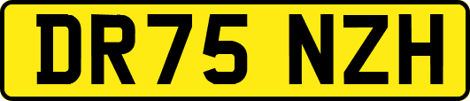DR75NZH
