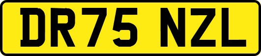DR75NZL
