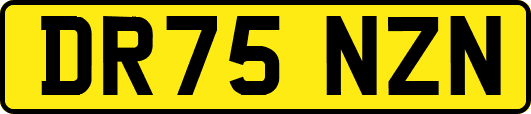 DR75NZN