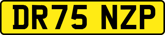 DR75NZP