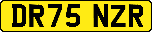 DR75NZR