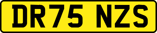 DR75NZS