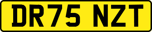 DR75NZT