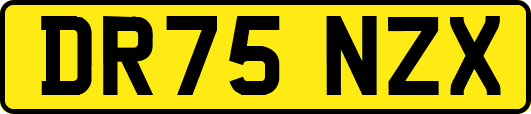 DR75NZX