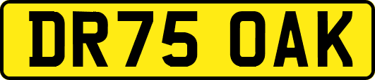 DR75OAK