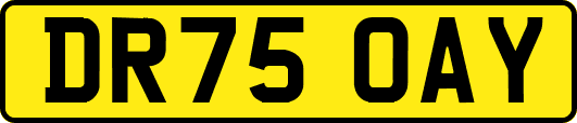 DR75OAY