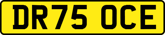 DR75OCE