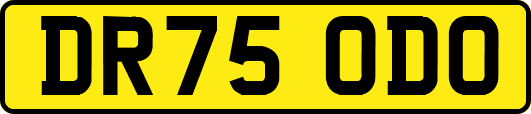 DR75ODO