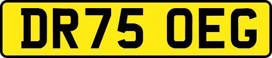 DR75OEG