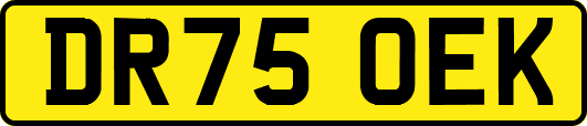 DR75OEK