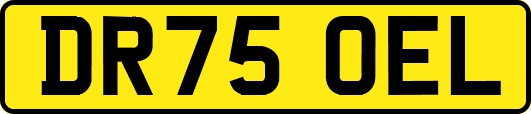 DR75OEL