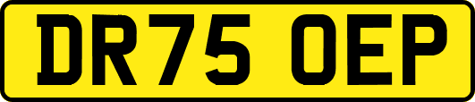 DR75OEP