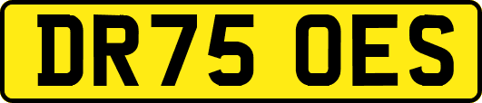 DR75OES