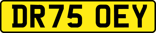 DR75OEY