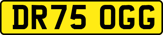 DR75OGG