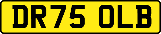 DR75OLB