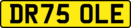DR75OLE