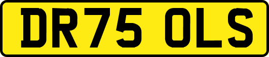 DR75OLS