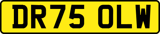 DR75OLW