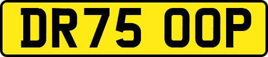 DR75OOP