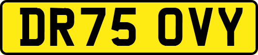 DR75OVY